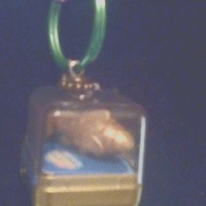 Change color fish keychain